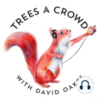 The Art of Trees: Live from the Cheltenham Literature Festival and the Woodland Trust