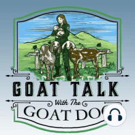 Mini Episode #4 - The Goat Dairy Industry (in Maine and Beyond)