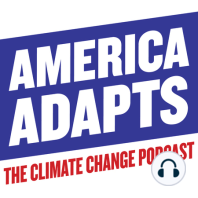 Pandas, gorillas and elephants adapt to climate change! Podcast with World Wildlife Fund.