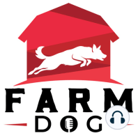 Ep. 1: 25 farm dogs, 1200 sheep and goats, 1 rancher