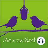 Naturzwitschern mit Erich Wolf / Waldberg Empelde e.V.: Vom Kaliberg zum Naturwaldberg