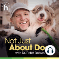 Interview with Rodney Habib, best-selling author and dog lover extraordinaire
