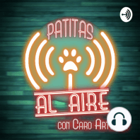 Ep. 20 - ¡Como Perros y Gatos!