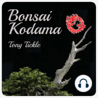 Bonsai is a disease with no cure, get help before it's too late!