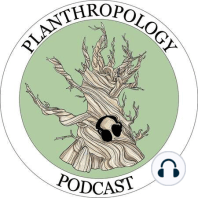 49. Dendrochronology, Mental Health, and Bailing on Engineering w/ Joe Buck (in Nature)