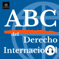 ABC Del Derecho Internacional - Financiamiento extranjero a ONG's