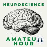 Episode 6: The Neuroscience of Magic Mushrooms
