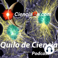 En busca de genes de la sinestesia