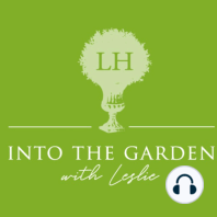 30: Peggy Cornett of the Thomas Jefferson Center for Historic Plants and Snow on the Mountain