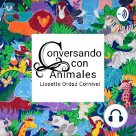 Episodio 24. Soy el orgullo de mi humana. Perros de ayuda