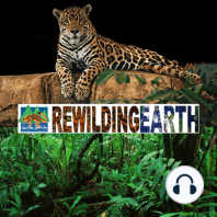 Episode 52: Joseph Bish On Storytelling to Change Attitudes Around Population and Conservation Issues