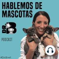 Regalar Mascotas- Una Nueva Mascota para la Familia