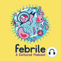 51: Febrile Digest - Across the Pond with the ID:IOTS Podcast