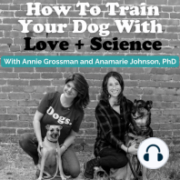 Ilana Alderman talks to the animals--all of them: Training and enriching the lives of fish, mice, squirrels, dogs and toddlers, too.