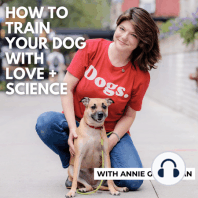 We're just "snowflakes" who don't use "bonkers": A frank conversation with dog trainer Beth Berkobien of Rehab Your Rescue of Dallas, TX
