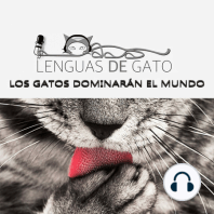 Ep 31. Museos de gatos por el mundo y Proyecto GATEATECA