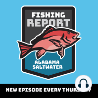 Gulf Shores, Dauphin Island and Mobile Bay Fishing Reports for August 29 - September 4, 2022