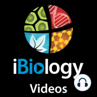 Understanding Meningioma Biology: Abrar Choudhury
