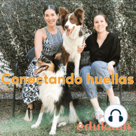 24: Rehabilitación y fisioterapia para mi mascota / Con la MVZ Viridiana Sánchez, especialista en rehabilitación veterinaria