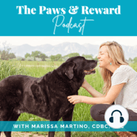 Ep 6: Your Dog's Emotional Threshold with Sarah Stremming