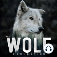 Wolf Tales - Micha Thomas, Wolf Connection Program Lead