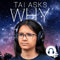 Ask Tai Why: Fear, time and the colour of colours