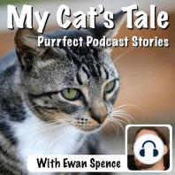My Cat’s Tale: George The Station Cat