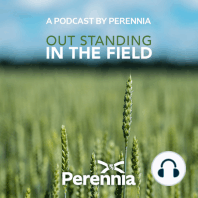 Out Standing in the Field: A Podcast by Perennia