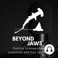 18: A shark science career is not a straight path with Dr. Andrew Chin