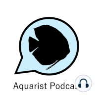 Ep. 23 - Lucas Bretz of LRB Aquatics on managing a large fish room, breeding projects, and freshwater clams