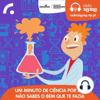 Quem foi Rosalind Franklin?