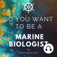 36. Melanie Croce: Bombing Sea Birds, Living in Tents, and Saving Seals