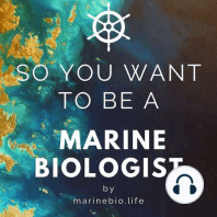 39. Octogirl Dr. Chelsea Bennice: How to Find an Octopus, the OMG, and Being a Field Biologist