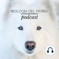 "Biología del Perro" - Podcast 1- Olfato canino, carrera de armamentos coevolutiva y las proteínas.