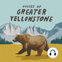 The Bold Art of Yellowstone