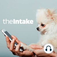 Cyber Security in Animal Welfare: What's Phishing Got To Do With Puppies & Kittens?