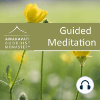 Day 11a – Sister Brahmavara – Guided Meditation: Anicca