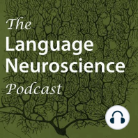 Generative linguistics and the neural basis of language