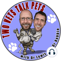 Love your vet, vet fees, older pets, licking feet, Dr Sally FeelGood Cockburn & dog bites – Episode 11