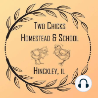 Episode 24: Some Chickens and a ton of Comfrey