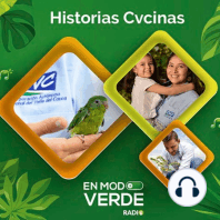 En Modo Verde Radio - Se sembraron 3.000 árboles en Pradera