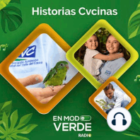 Loras y Guacamayas tristemente olvidan su identidad - En Modo Verde Radio