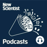 #96: What does the rise of omicron mean for us?; living robots able to reproduce; mini black holes and the end of the universe
