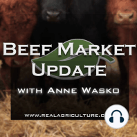 Beef Market Update: This Drought Won’t Dampen Scorching Beef Prices Anytime Soon
