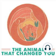 The Animal That Changed You TRAILER!
