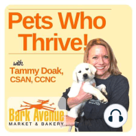 Choosing The Right Bone For Your Pet - Tammy Doak