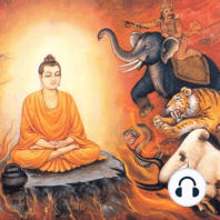 Thích Pháp Hòa - Sống đúng nghĩa