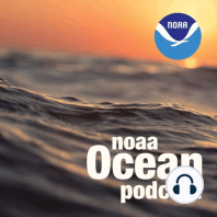 Ocean Gliders: How NOAA uses autonomous technology to help predict hurricane intensity