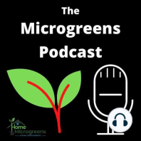 Episode 16 Lessons Learned Growing Mustard Microgreens