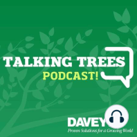 How to Protect Bark on Trees from Trimmers + Other Tree Dangers